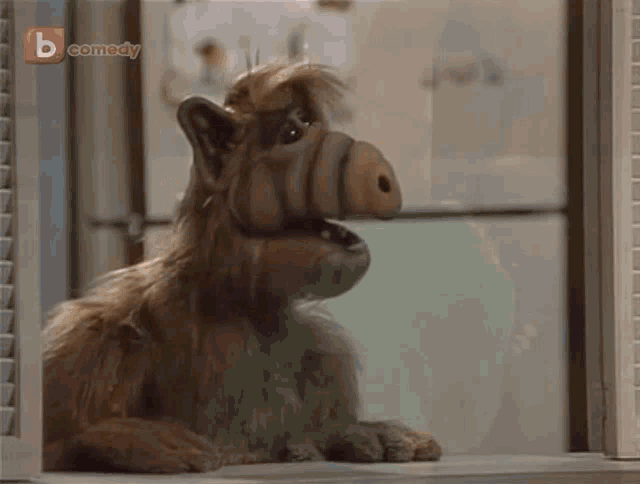 1664744172840.gif