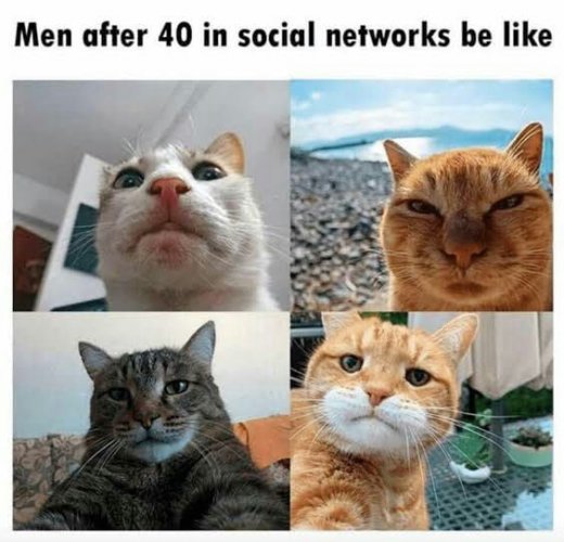 aVwYMYP_700b.jpg aVwYMYP_700b.jpg