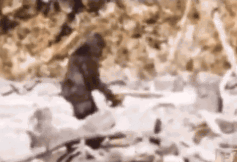 1665174558437.gif 1665174558437.gif