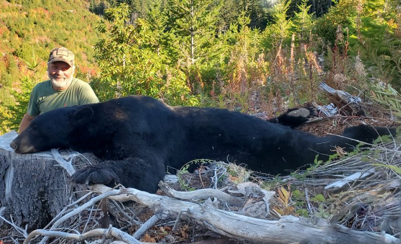 OR Fall Bear 2022 (recropped 2).jpg OR Fall Bear 2022 (recropped 2).jpg
