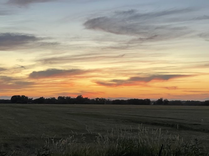 F0BC6D07-3C02-41B6-A89B-686BA7EF5C23.jpeg F0BC6D07-3C02-41B6-A89B-686BA7EF5C23.jpeg