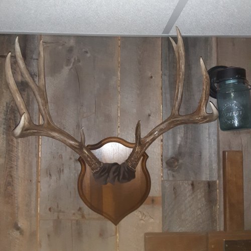 20220517_145300.jpg 20220517_145300.jpg