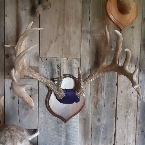 16656038533174998870043089713491.jpg 16656038533174998870043089713491.jpg