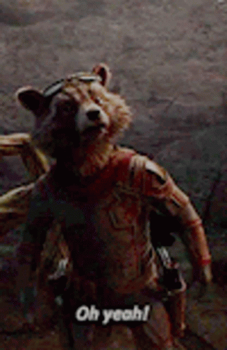 avengers-endgame-rocket-raccoon.gif