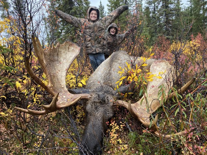 Alaska_Moose.JPG Alaska_Moose.JPG