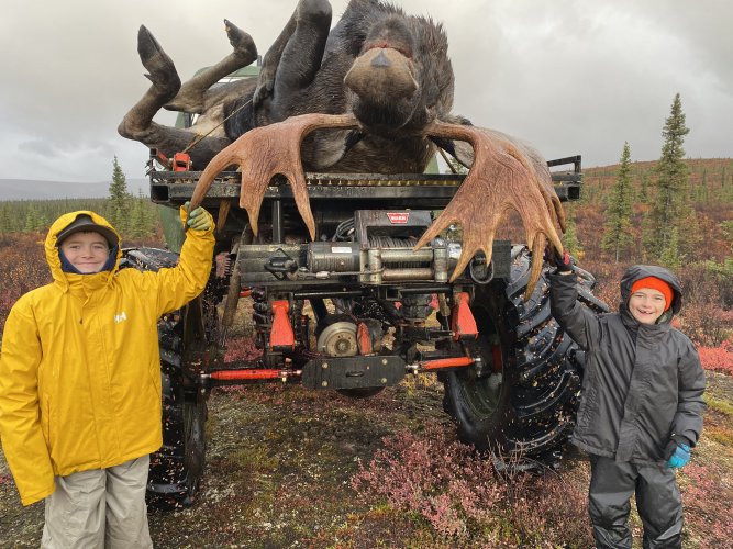 Hauling Moose 2.JPG