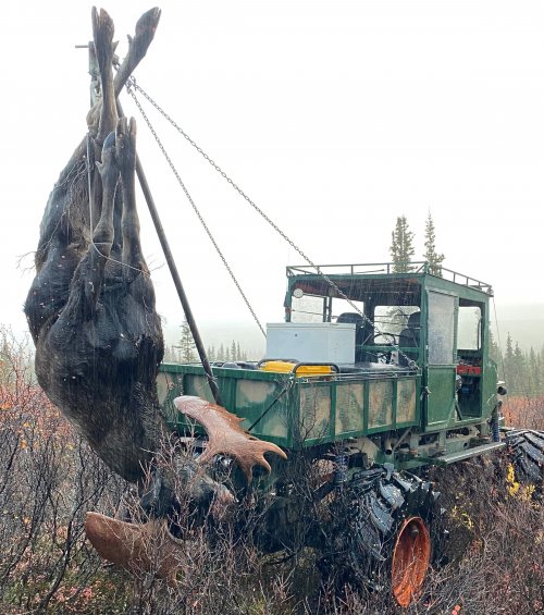 moose_lift.JPG moose_lift.JPG