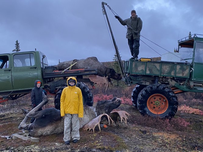 Hauling Moose 4.JPG Hauling Moose 4.JPG