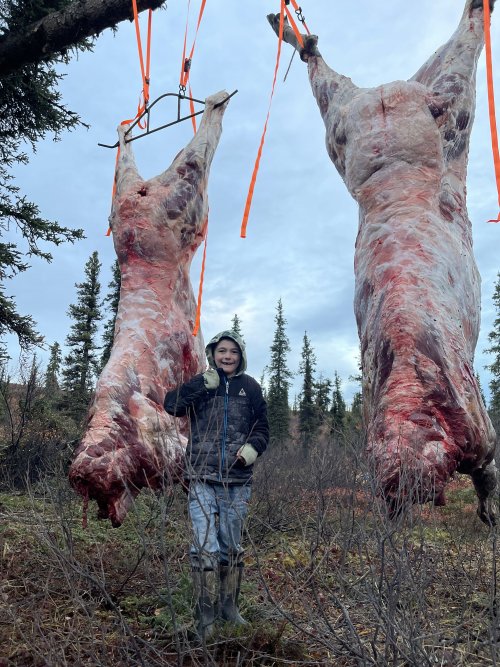 meat pole build 4.JPG