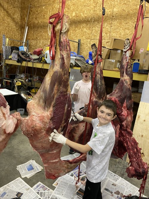 Cutting_moose.JPG Cutting_moose.JPG