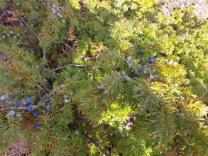 20221010_091814.jpg 20221010_091814.jpg