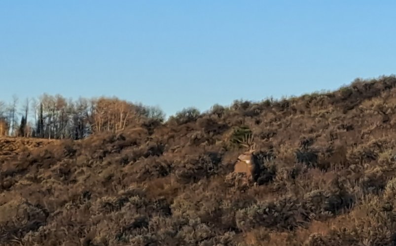 20221015_073622.jpg 20221015_073622.jpg