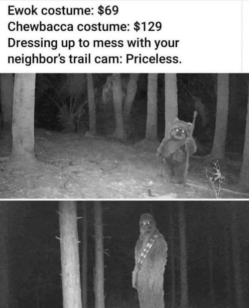 1666265998982.jpeg