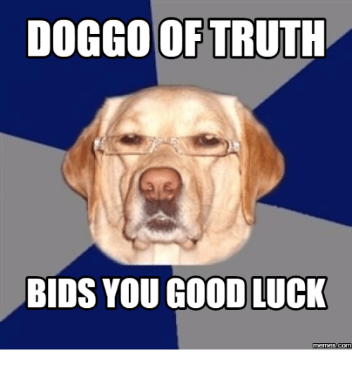 doggo-of-truth-bids-you-good-luck-memes-com-13509567.png