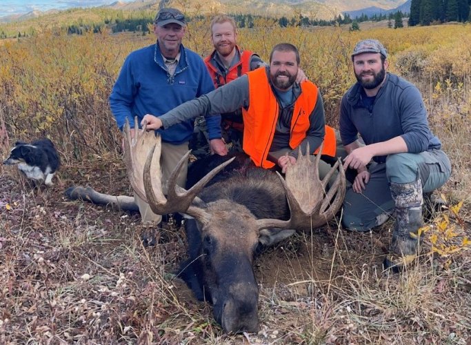 moose 3 (2).jpg moose 3 (2).jpg