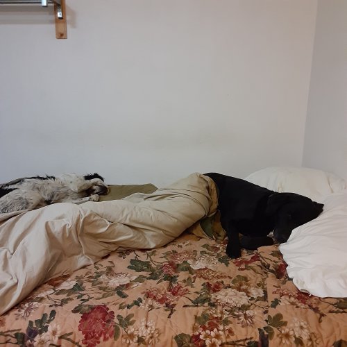 20221029_080827.jpg