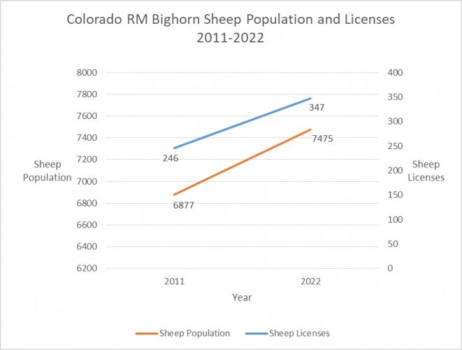 CO sheep 2011-22.jpg
