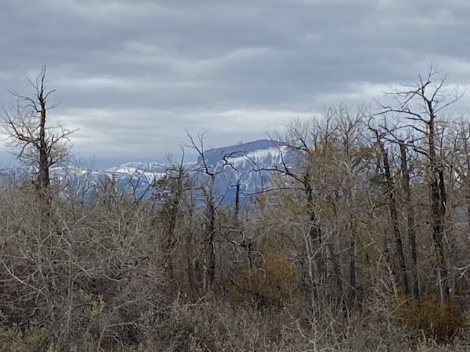 F8D34616-2813-424B-826B-0A10113A6400.jpeg