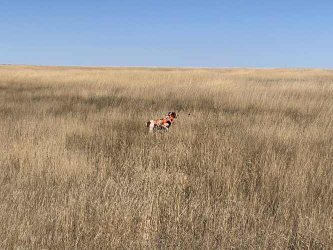 7108E820-42CA-4749-B141-8AF309D9C0F2.jpeg 7108E820-42CA-4749-B141-8AF309D9C0F2.jpeg