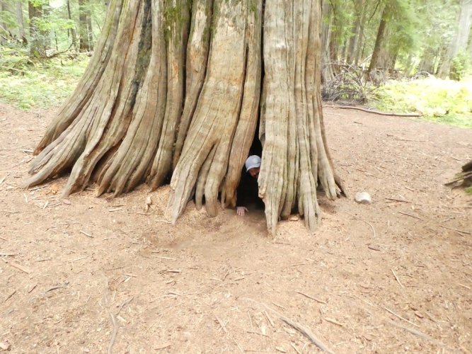 Ross Crk Cedar cave.JPG