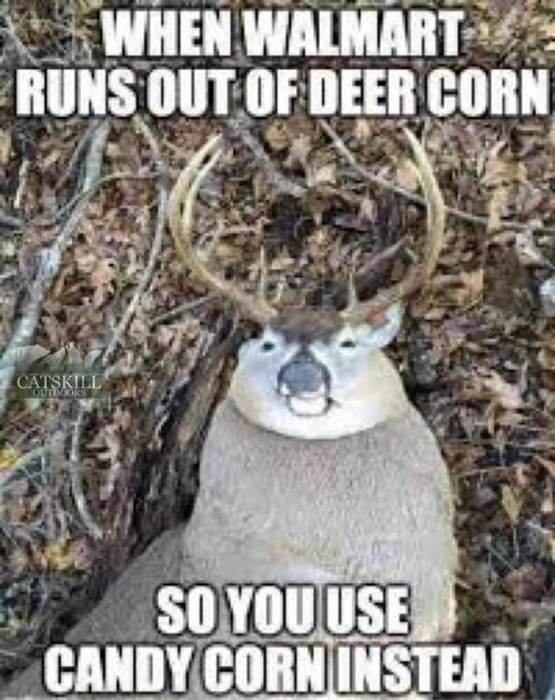 FB_IMG_1667526384872.jpg