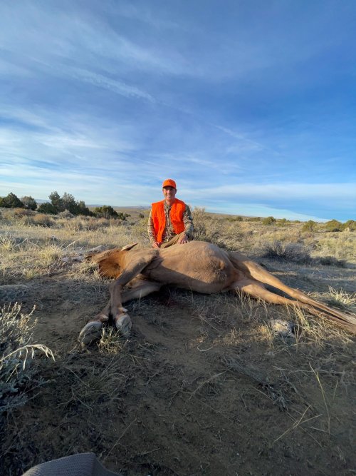 elk.jpg elk.jpg