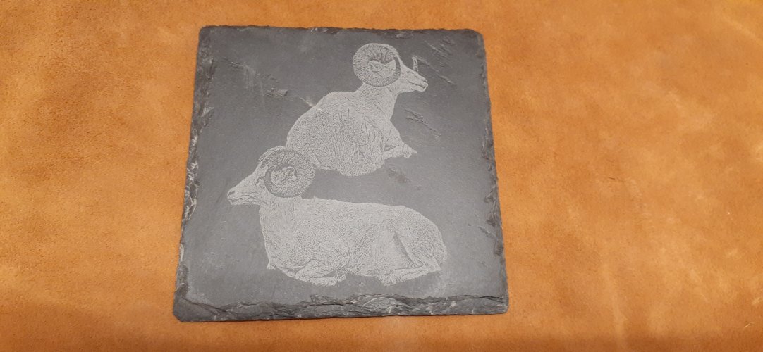 20221106_122113.jpg 20221106_122113.jpg
