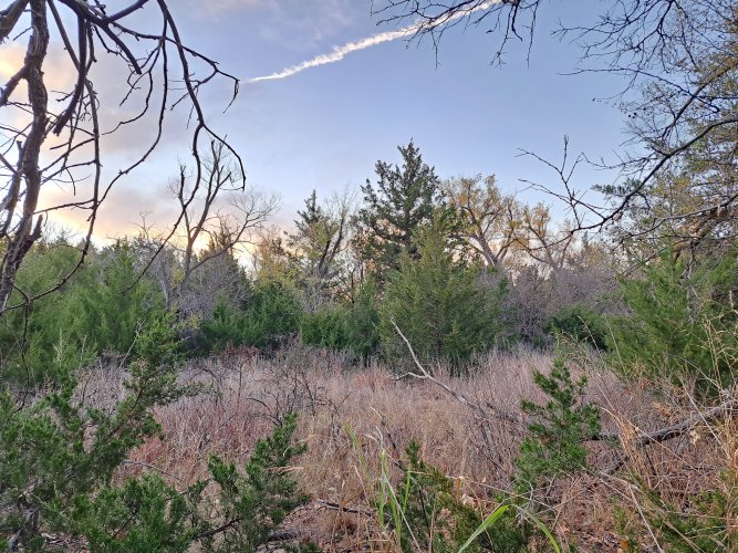 20221107_071232.jpg 20221107_071232.jpg