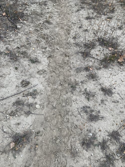 FEB9B16F-BFC6-4049-B994-6977F9333963.jpeg FEB9B16F-BFC6-4049-B994-6977F9333963.jpeg