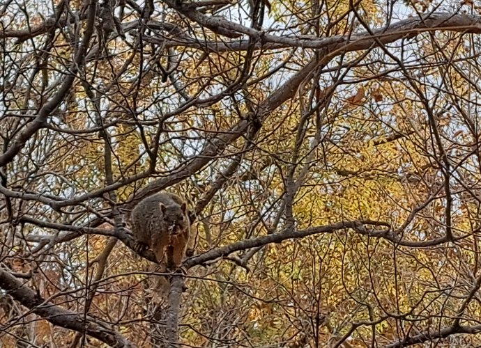20221108_075705.jpg 20221108_075705.jpg