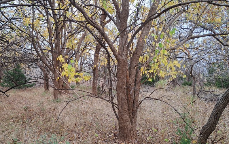 20221108_095406.jpg 20221108_095406.jpg