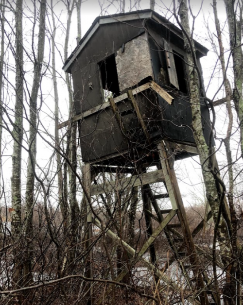 1667933380964.png 1667933380964.png