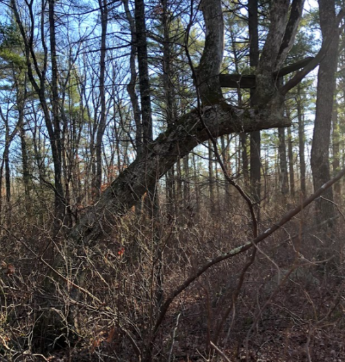 1667933390572.png 1667933390572.png