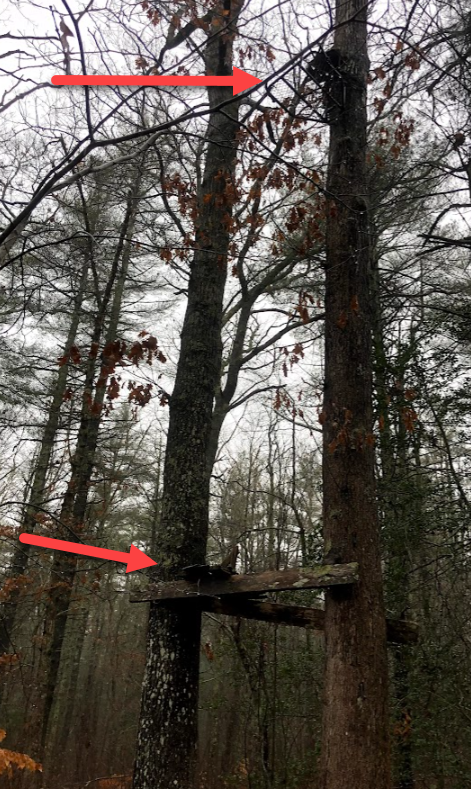 1667933402549.png 1667933402549.png