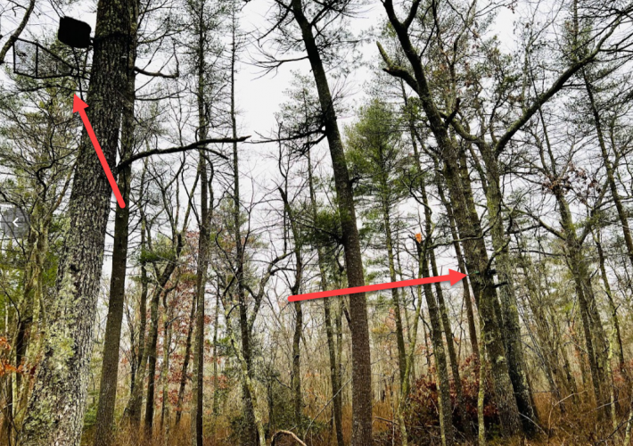 1667933413998.png 1667933413998.png