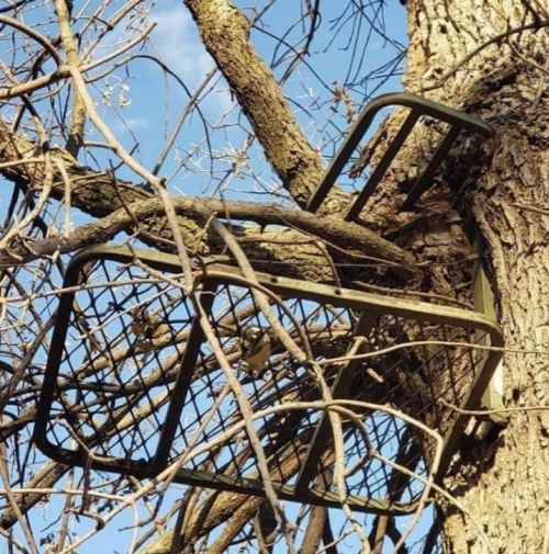 1667933598758.png 1667933598758.png