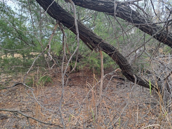 20221109_085038.jpg 20221109_085038.jpg