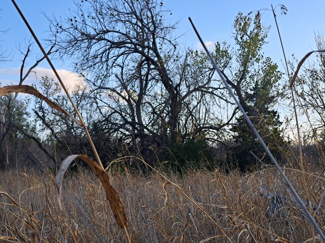 20221109_164749.jpg 20221109_164749.jpg