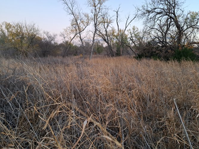 20221109_174056.jpg 20221109_174056.jpg