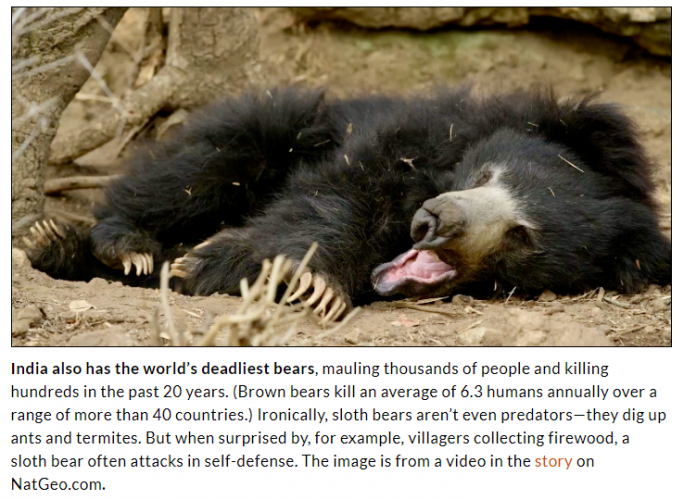 1668118421179.png 1668118421179.png