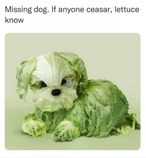 625C82C8-17D0-40EF-9D8B-C49AF5B20031.jpeg