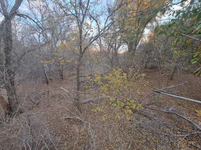20221110_171831.jpg 20221110_171831.jpg