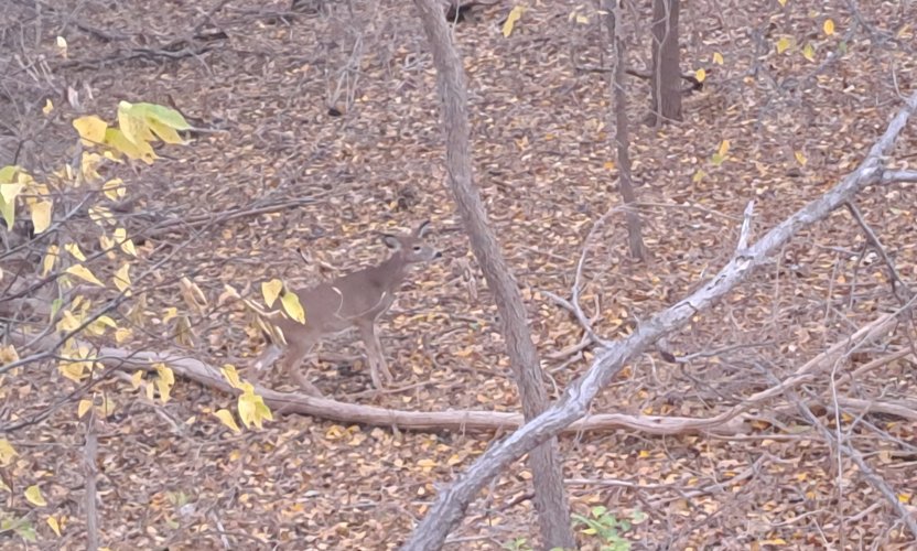 20221110_174313.jpg 20221110_174313.jpg