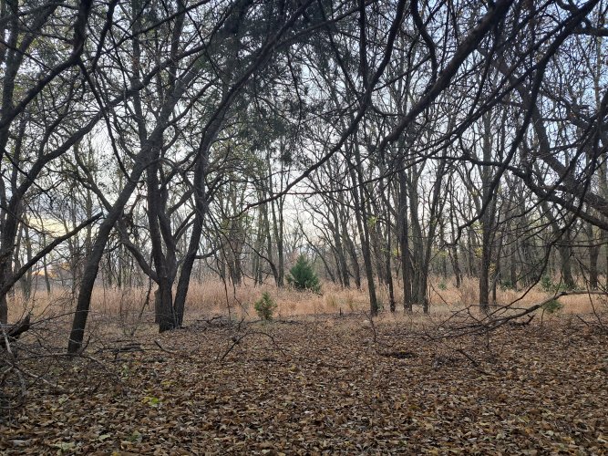 20221110_072321.jpg 20221110_072321.jpg