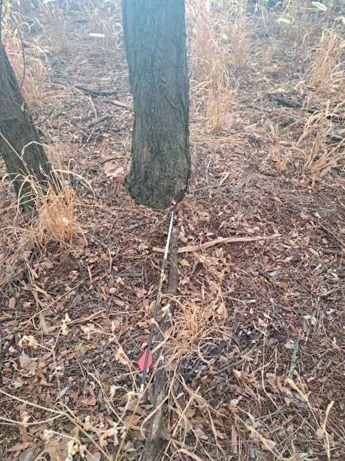 20221110_081110.jpg 20221110_081110.jpg