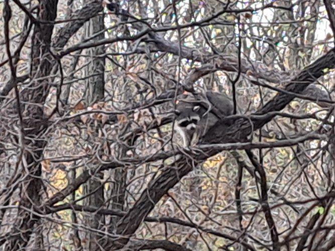 20221110_071350.jpg 20221110_071350.jpg