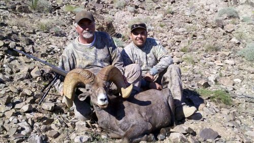 40B Mike Strom's 168 6-8 sheep 2011.jpg