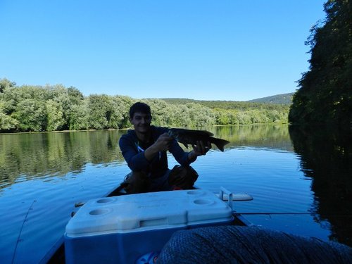 DSCN2779 (640x480).jpg