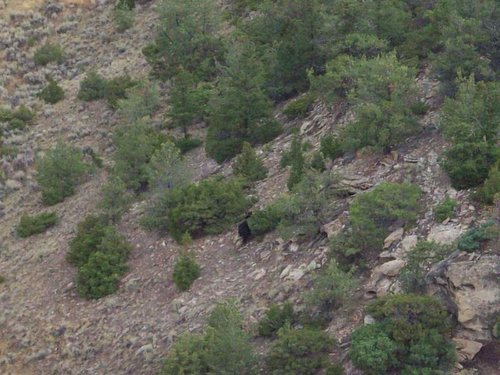 100_1491.jpg 100_1491.jpg