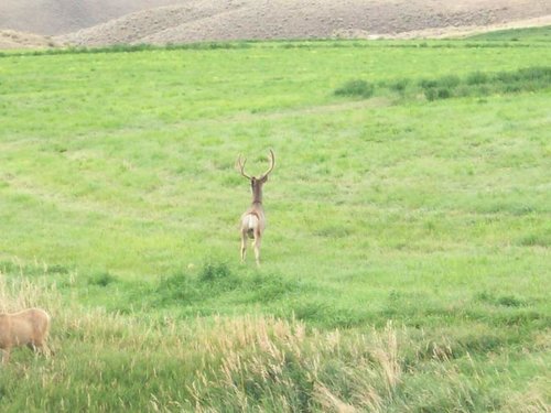 100_1499.jpg 100_1499.jpg